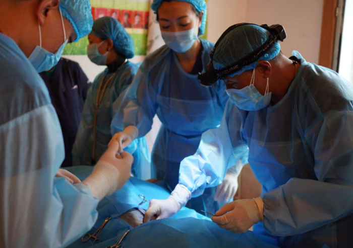 兽医为流浪藏獒进行绝育手术 图/受访者提供