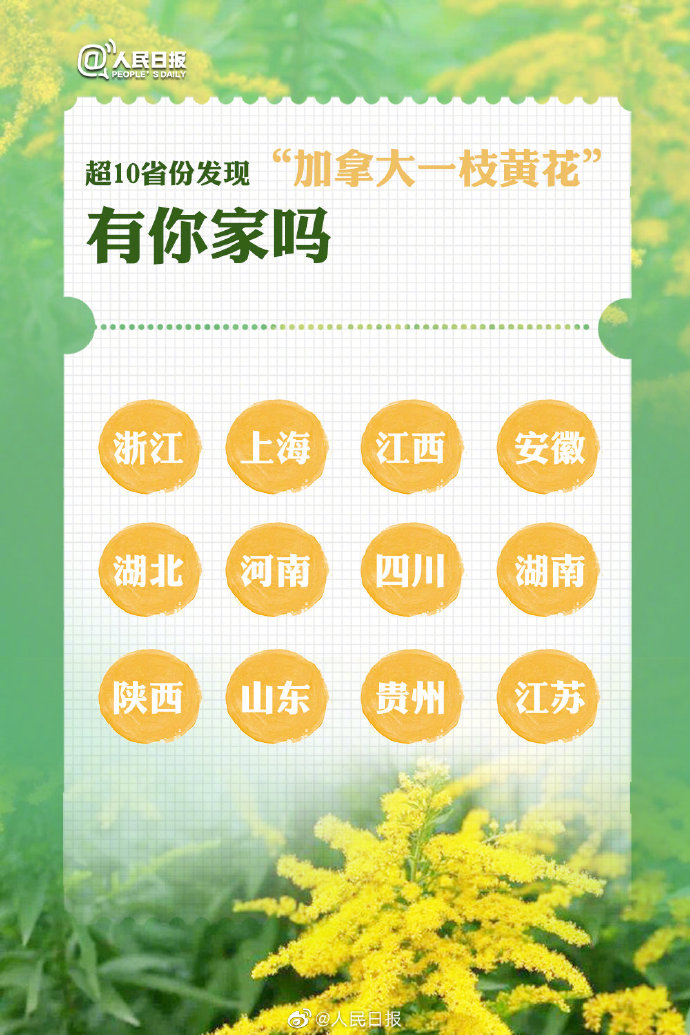 图片来自@人民日报