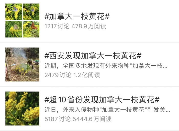 图片来自微博截图