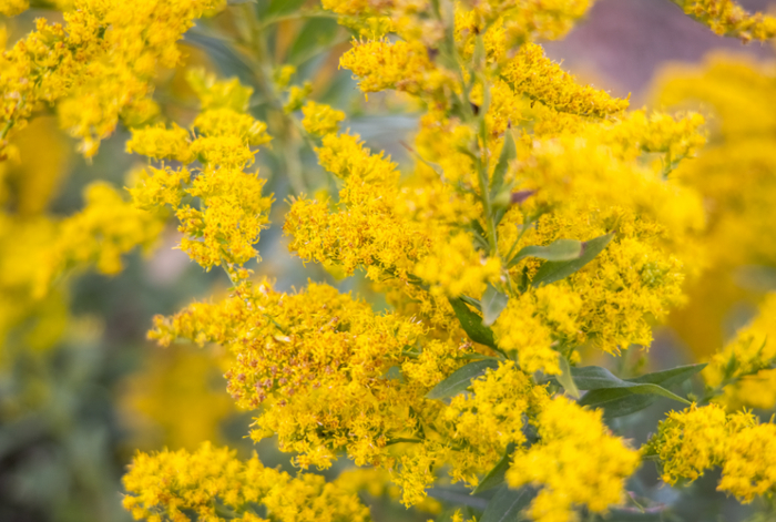 图片来自IC photo