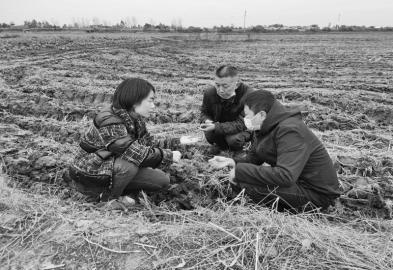樊高琼（左）给种植户讲解田管要点。