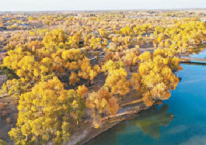 　　新华社 李志鹏摄