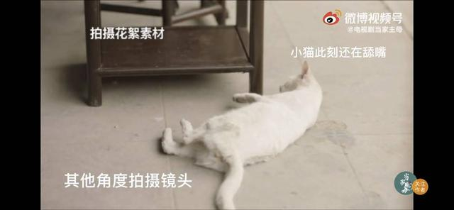 图源《当家主母》发布的视频截图