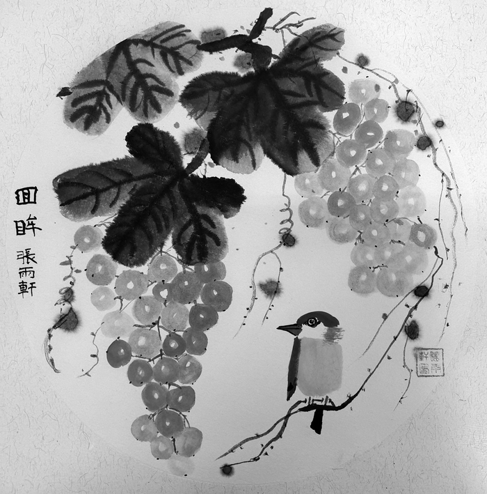 　　回眸　　N白马校区402班 张雨轩 指导老师 钱雪琴