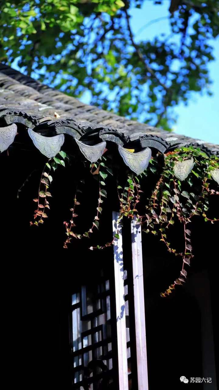 紫金庵　图片来源：苏园六记