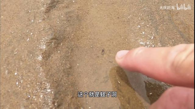 图源：视频截图