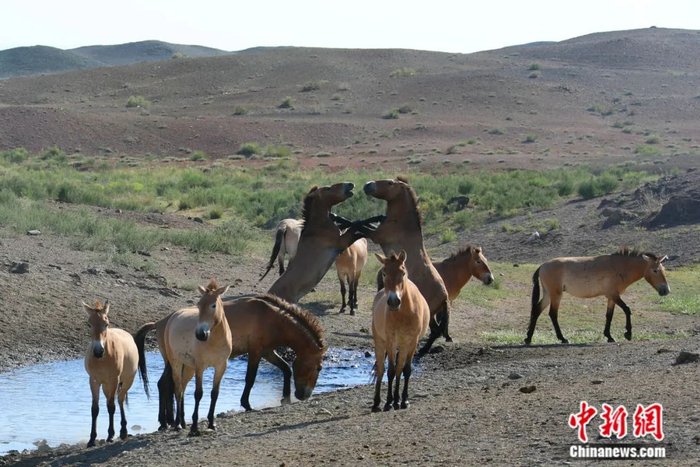 水源地的争夺。张赫凡 供图