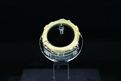 展出的六龙首玉镯 良渚遗址管理区管委会供图