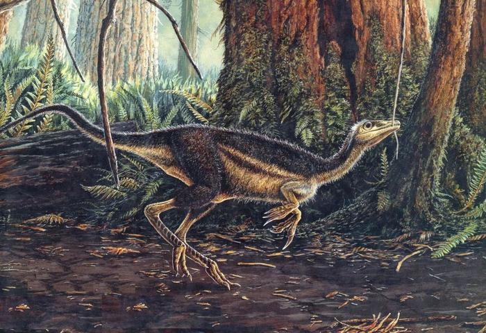 图为中华龙鸟复原图。（受访者供图）