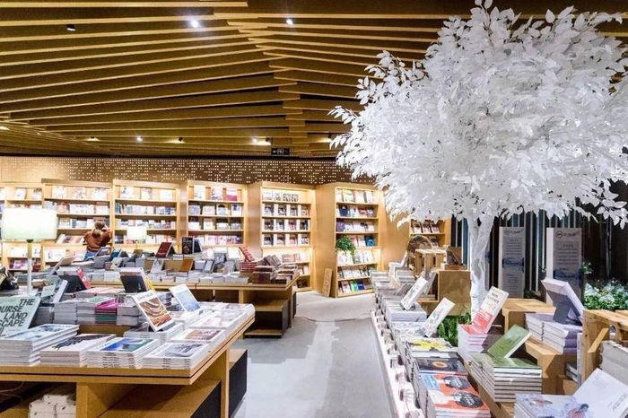 图片源于网络  图文无关