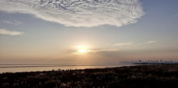 巢湖风光（包河区委宣传部供图） 