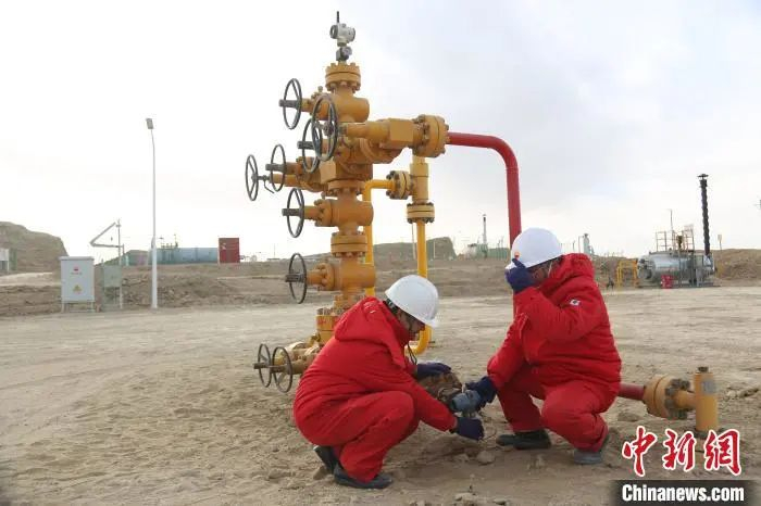 图为彭均与队员正在进行野外作业。祁增蓓 摄