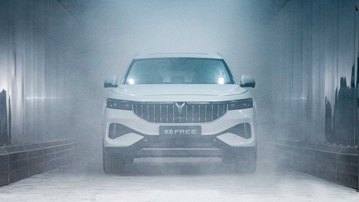 岚图FREE盐雾喷射测试