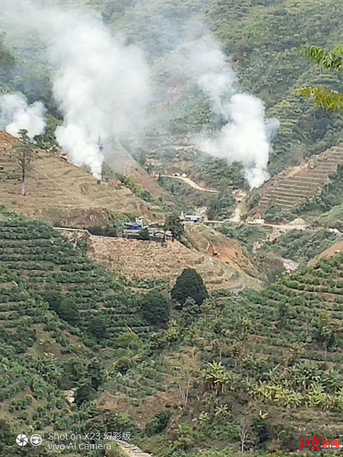 ▲事发当日，被强铲下的沃柑等附着物遭焚烧。受访人供图