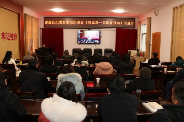 弥渡县纪委监委组织干部职工集中观看专题片