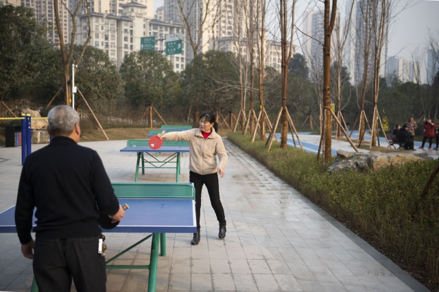 市民在打乒乓球锻炼。记者谢智强实习生熊香琳摄/视觉重庆