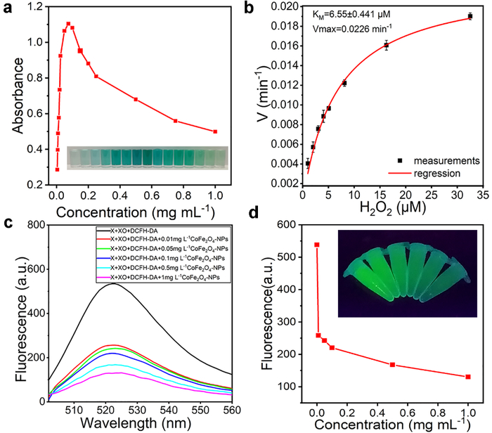▲CoFe2O4-NPs纳米酶的体外活性验证