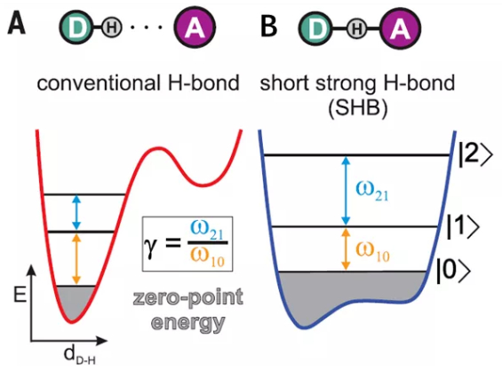 图4 （A）传统双阱氢键，（B）单阱氢键（短强氢键，SHB）