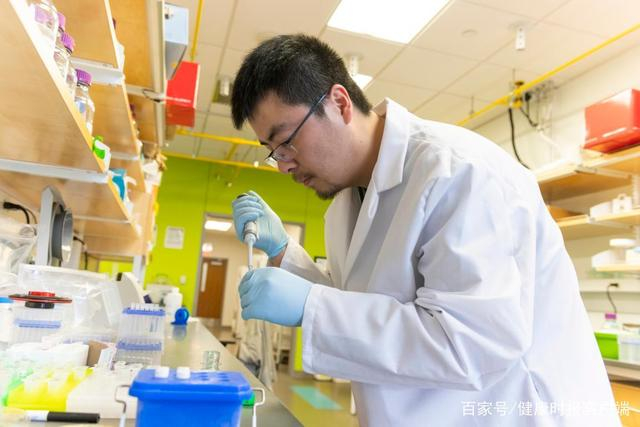 王年爽在实验室。本人供图