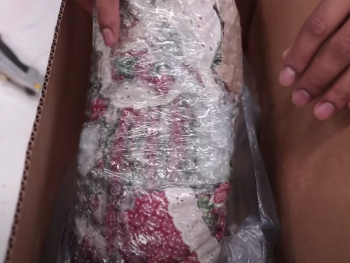 图片来源：YouTube