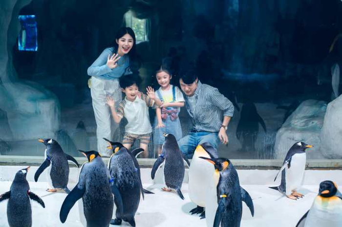 企鹅岛，全家可与企鹅宝宝们互动。