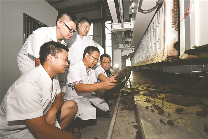     团队成员在工厂进行大生产试验