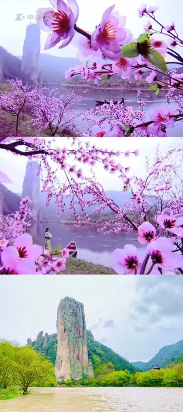 △梦大仙  整理、拍摄