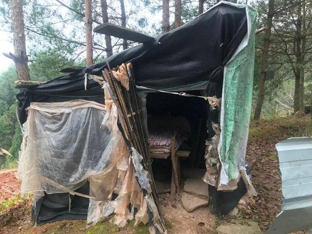 吴青莲住的窝棚，由木条、竹片和广告布、油布、防晒布潦草搭建而成。新京报记者 杨柳 摄