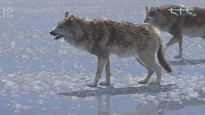 薛松团队完成的生物角色的实拍模型。受访者供图