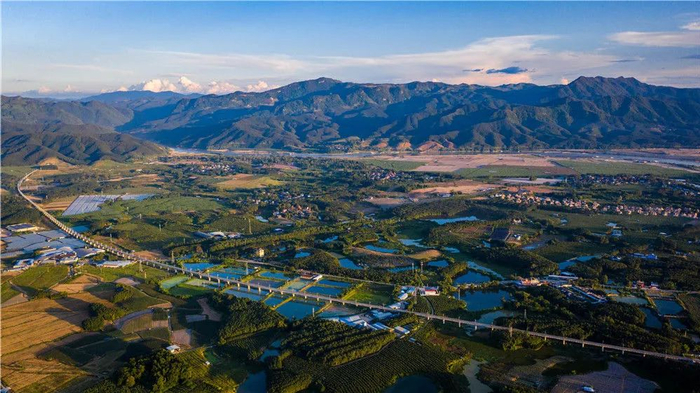 中老铁路橄榄坝特大桥（图源：新华社）