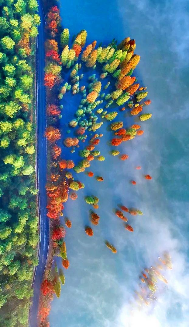 图源@安吉旅游
