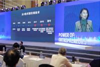 董明珠:企业急功近利赚钱 总有一天会被别人抛弃