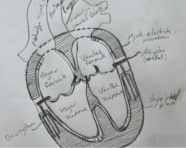 Azad Najar医生的手稿，图片来源：Realheart 2020 年年度报告