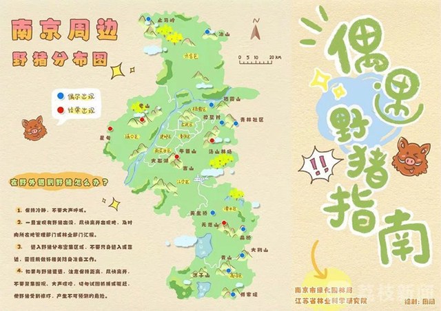监测与预警：142台红外相机拍下5215张野猪照片