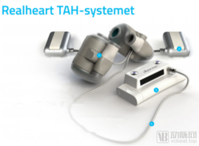 图片来源：Realheart 2020 年年度报告