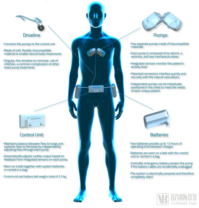 Realheart官网展示的产品示意图