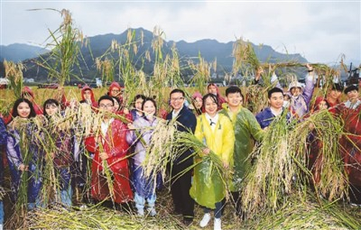 10月16日，游客在浙江省建德市三都镇新和村袁隆平生态水稻种植基地与收割的巨型稻合影。