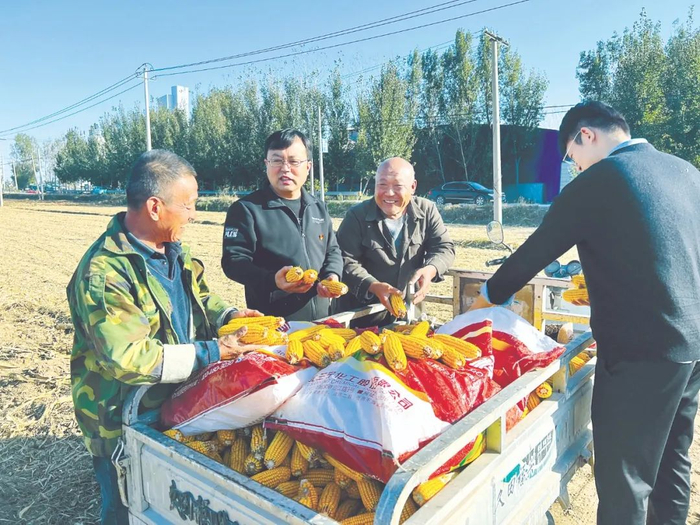 山东省平原县纪委监委组织纪检监察干部主动带信下访，深入基层一线。图为该县纪检监察干部在恩城镇大洞村就秋收秋种中发现的问题向群众了解情况。杨菲 摄