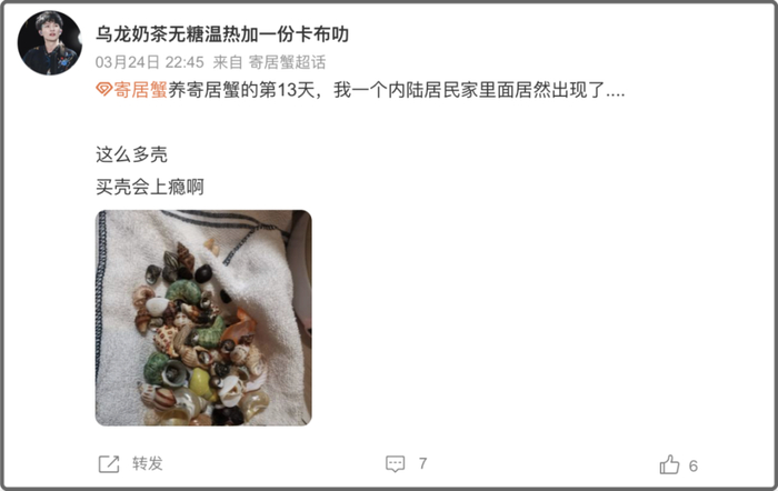 买壳会上瘾，我想买房也是，如果有钱的话