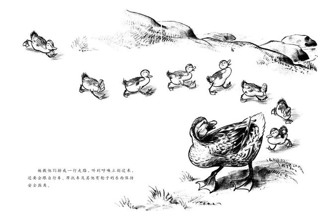 《让路给小鸭子》中文版插图。