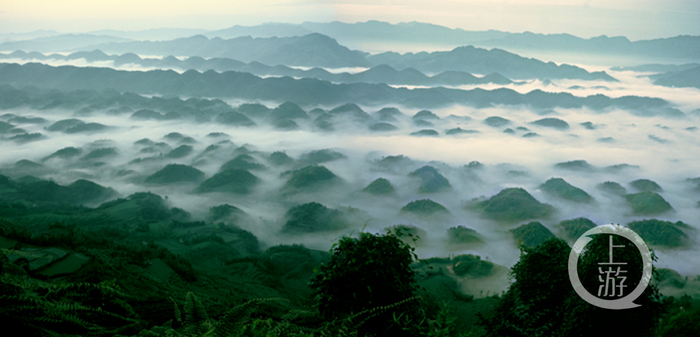 ▲宜宾市蜀南竹海旅游发展有限公司管理的蜀南竹海景区。图片来源/蜀南竹海官网
