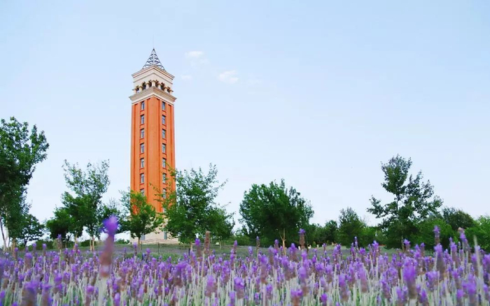 图源：“云南大学”微信公众号