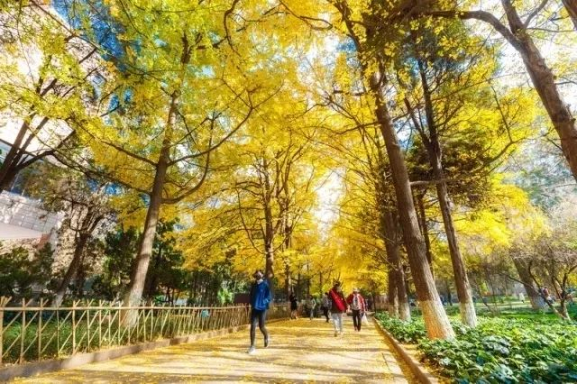 图源：“云南大学”微信公众号