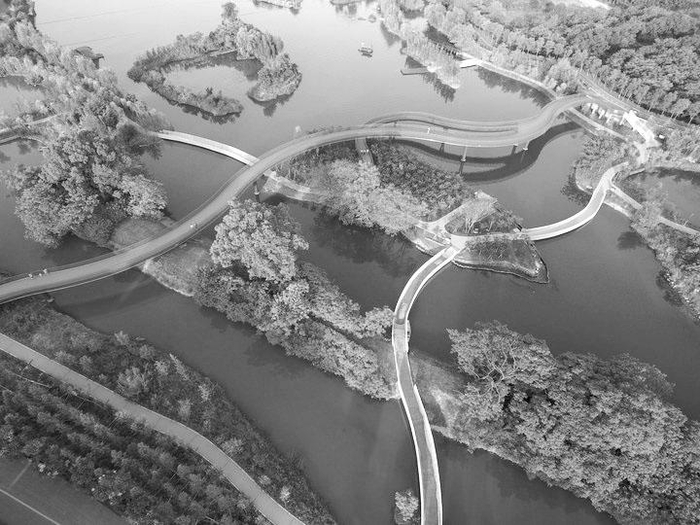  浦阳江翠湖湿地公园 魏礼鸿 摄