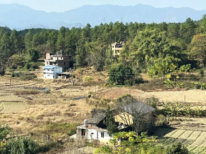 赣深高铁广东段一景（图：杔格）