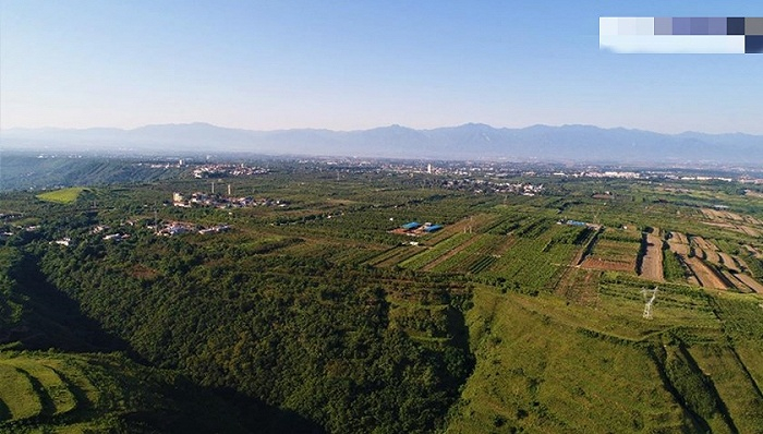 图片来源：央视新闻客户端