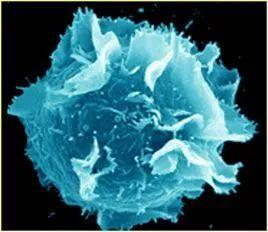 （图片来源于网络）