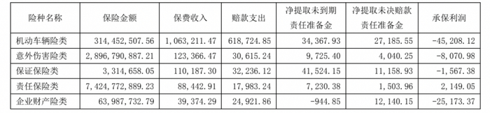 *华安保险保费收入前5位险种的主要经营情况（金额单位：万元）；截图自华安保险2020年年报