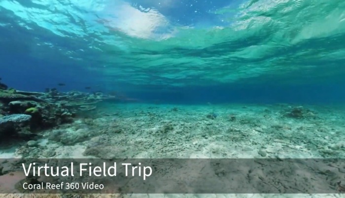 &nbsp;图片来源：VHIL