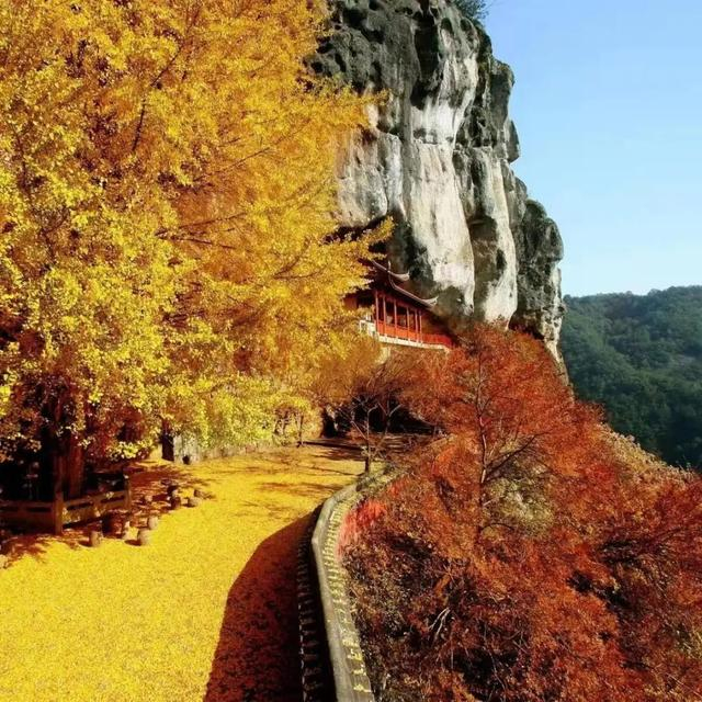 （图片由杭州建德市大慈岩镇提供）